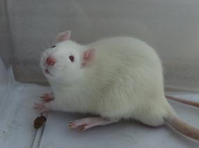 首页-人生就是博中国官方网站