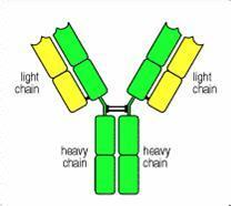 首页-人生就是博中国官方网站
