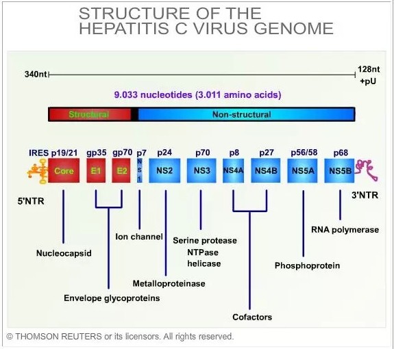 首页-人生就是博中国官方网站