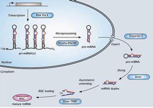 首页-人生就是博中国官方网站