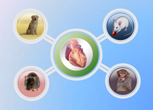 首页-人生就是博中国官方网站