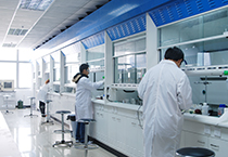 9月22号，人生就是博官方网站乐成召开生物医药企业手艺交流会