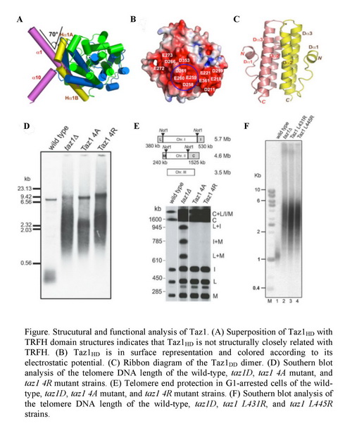首页-人生就是博中国官方网站