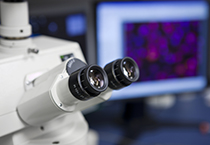 药企刻意遮掩新药申请被拒原因