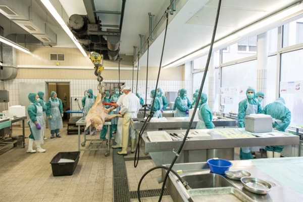 6月21号人生就是博官方网站主理2012年生物手艺药物（卵白质/抗体）立异开展论坛