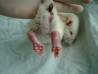 首页-人生就是博中国官方网站