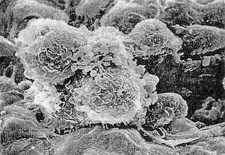 首页-人生就是博中国官方网站