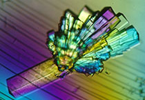 首页-人生就是博中国官方网站