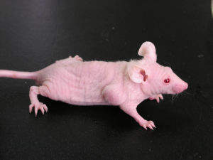 首页-人生就是博中国官方网站