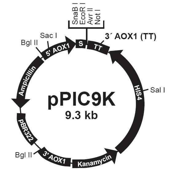 首页-人生就是博中国官方网站