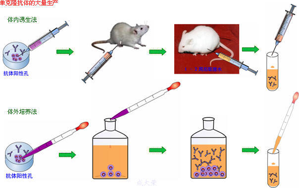 首页-人生就是博中国官方网站