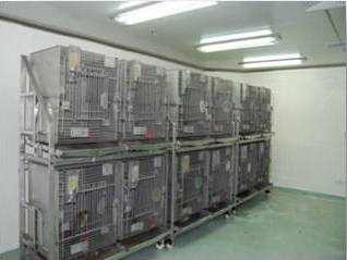 人生就是博官方网站猴房