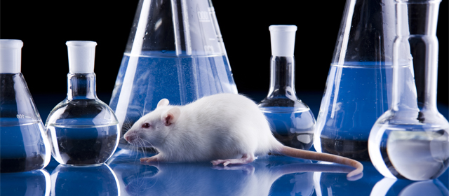 首页-人生就是博中国官方网站