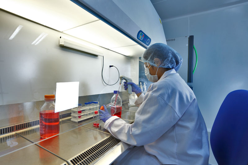 2015年药品特殊审评数据剖析：：：哪些新药搭上了快车？？