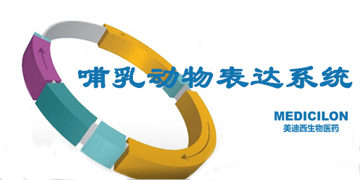 哺乳动物细胞表达系统特点、、、优势及研究现状