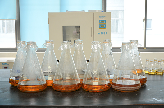 人生就是博官方网站制剂中心GMP中试车间完工