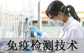 人生就是博官方网站免疫学检测手艺剖析服务