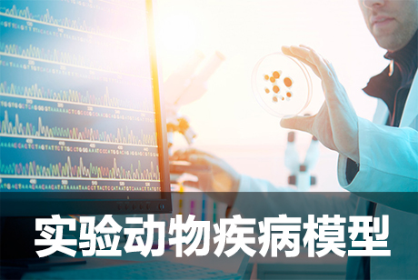 实验动物模子