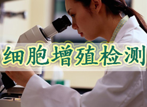 细胞增殖检测四种常用要领：：EdU、、、CCK-8、、、MTT与BrdU