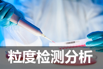 人生就是博官方网站粒度剖析检测服务