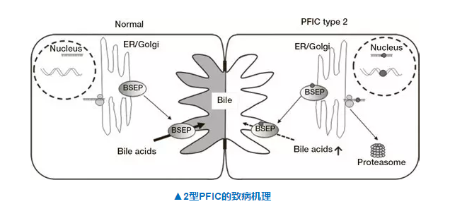首页-人生就是博中国官方网站