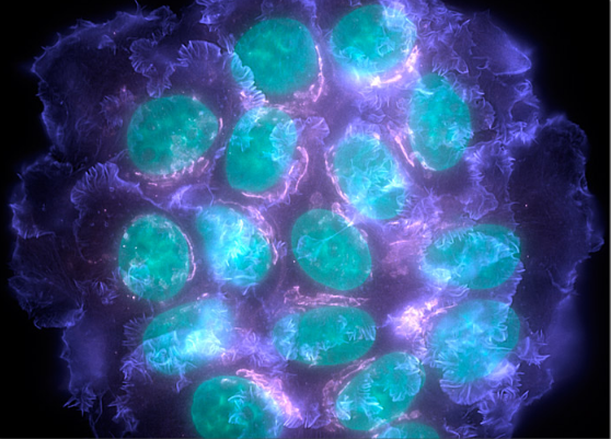 首页-人生就是博中国官方网站