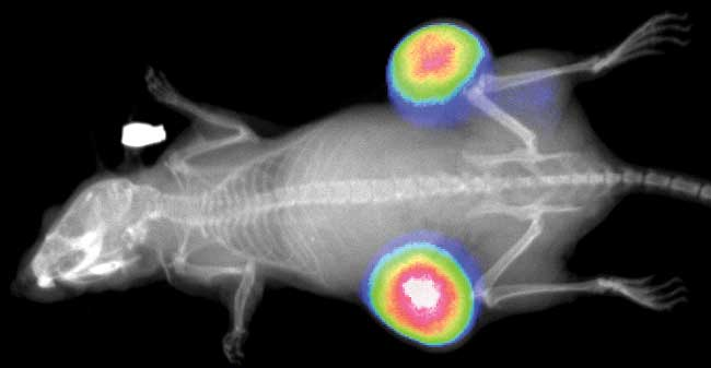 首页-人生就是博中国官方网站