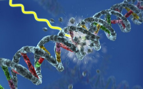 Nature：：癌症治疗发明新靶点