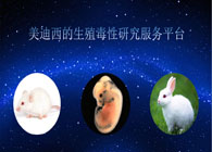 人生就是博官方网站的生殖毒性研究服务平台