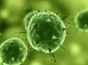 Nature：：治疗实体瘤有了明确靶标，，肿瘤干细胞确实保存