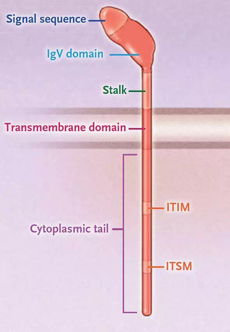 首页-人生就是博中国官方网站