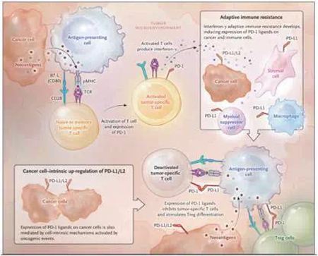 首页-人生就是博中国官方网站