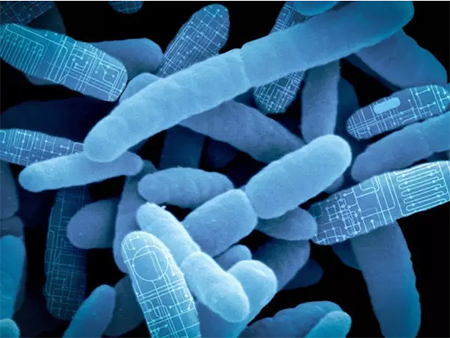 首页-人生就是博中国官方网站