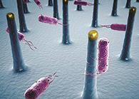 未来的药丸里，，可能有一万亿个人工刷新的细菌？？