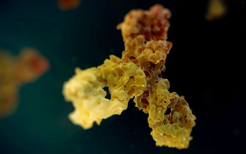 首页-人生就是博中国官方网站