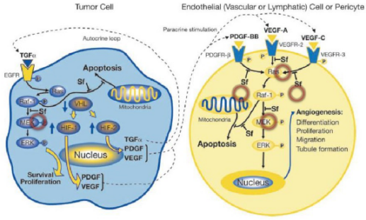 多靶点药物：立异药物设计的主要思绪