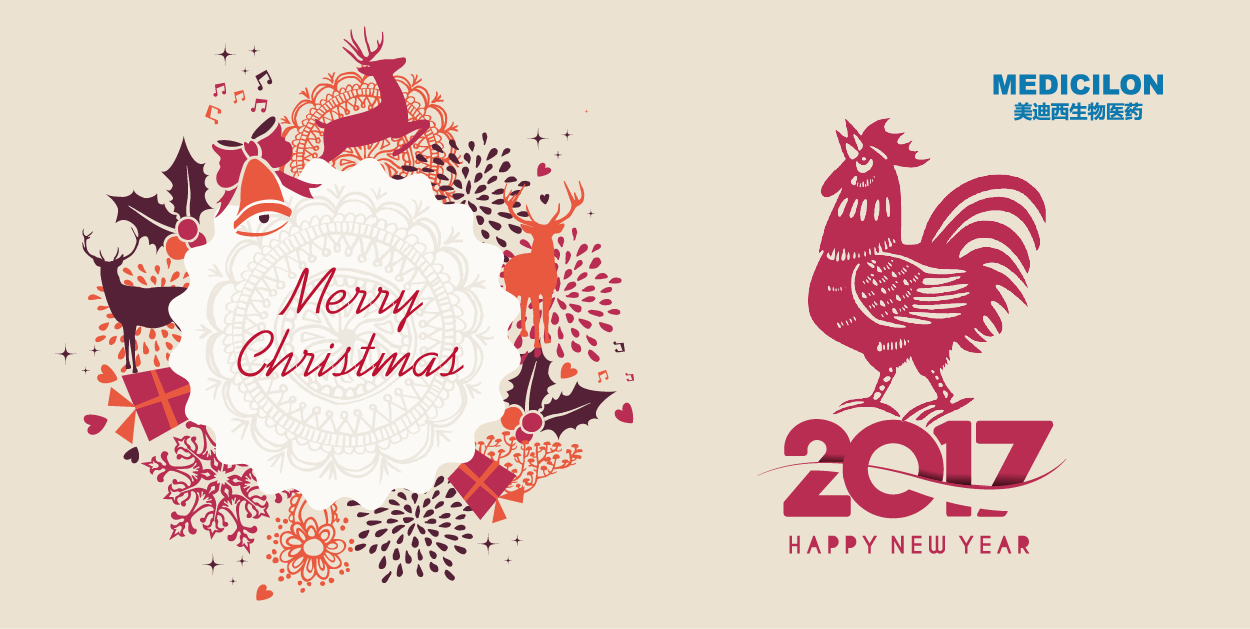 人生就是博官方网站生物医药祝您和您的家人圣诞、元旦快乐!