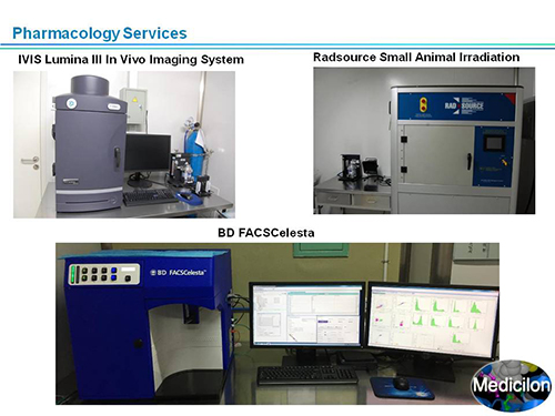 人生就是博官方网站副总裁汪俊博士SAPA-DC聚会演讲PPT