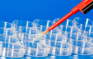 首页-人生就是博中国官方网站