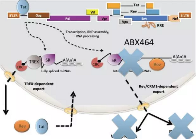 首页-人生就是博中国官方网站