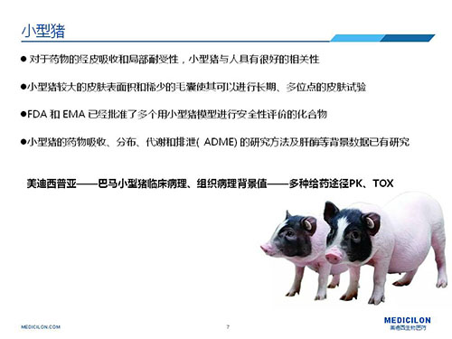 皮肤涂抹试验中，受试动物选择小型猪更好