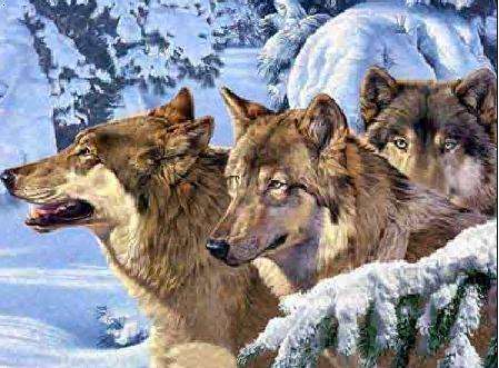 海内仿制药的三匹“狼”来了！！！