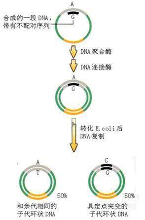 首页-人生就是博中国官方网站