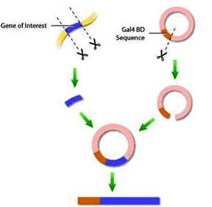 首页-人生就是博中国官方网站