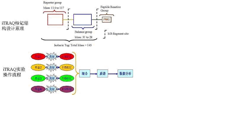 首页-人生就是博中国官方网站