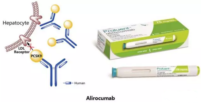 首页-人生就是博中国官方网站
