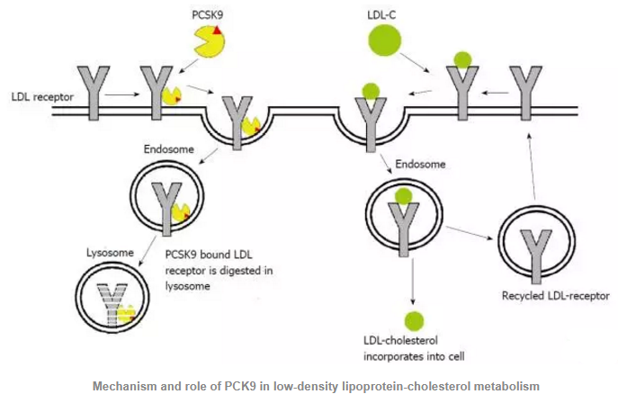 首页-人生就是博中国官方网站