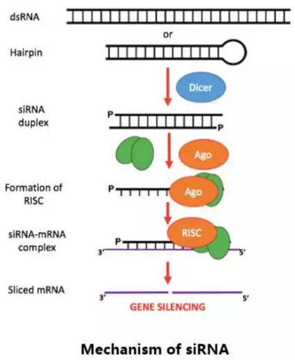 首页-人生就是博中国官方网站