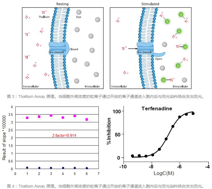 首页-人生就是博中国官方网站