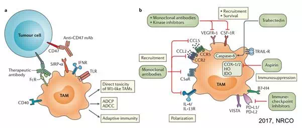 首页-人生就是博中国官方网站